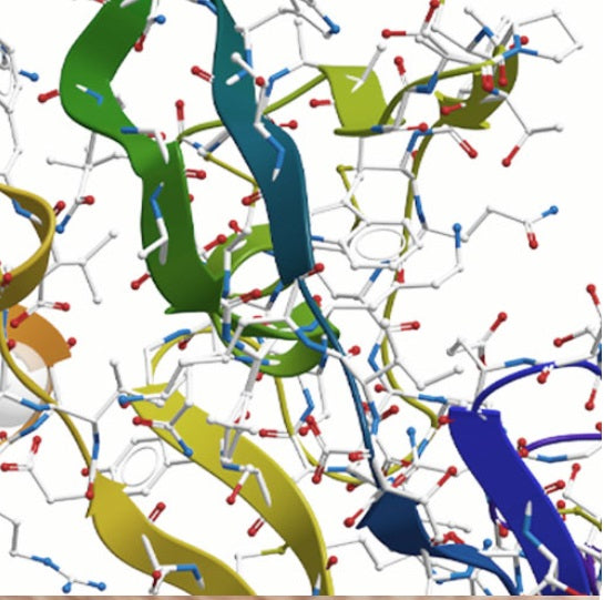 Matricil y Hexapéptido